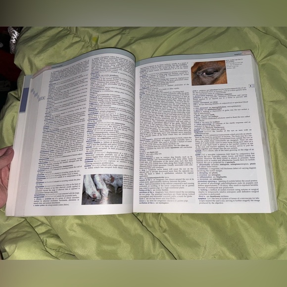 BNWOT Veterinary Dictionary 4th Edition - Picture 3 of 8